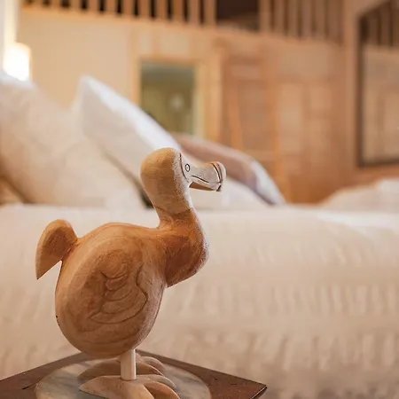 Bed & Breakfast O Lacanau