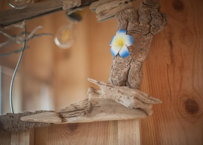 住宿加早餐酒店 O 拉卡诺