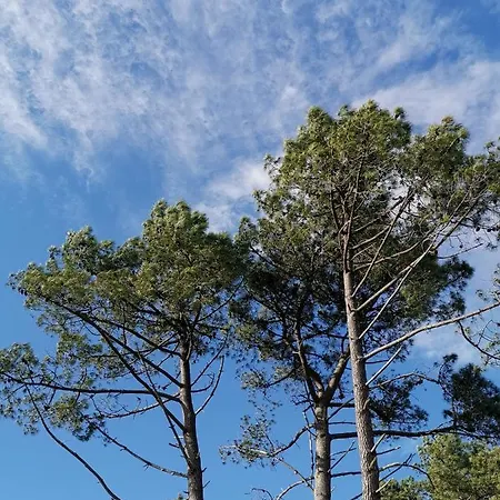 Alojamento de Acomodação e Pequeno-almoço O