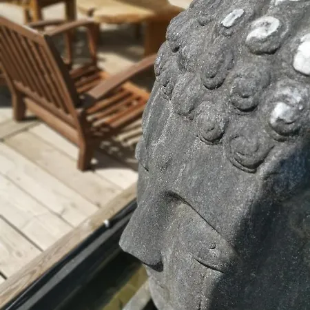 O Alojamento de Acomodação e Pequeno-almoço