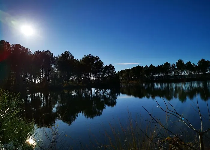 Bed & Breakfast O Lacanau