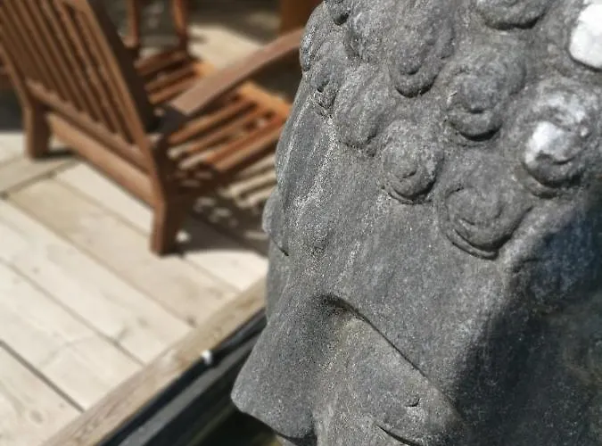 O לינה וארוחת בוקר