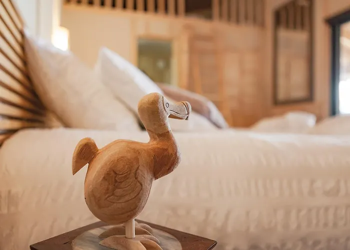 Bed & Breakfast O Lacanau